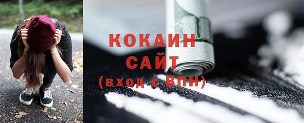 прущие грибы Кулебаки