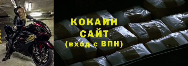 прущие грибы Кулебаки