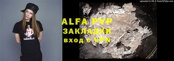 прущие грибы Кулебаки