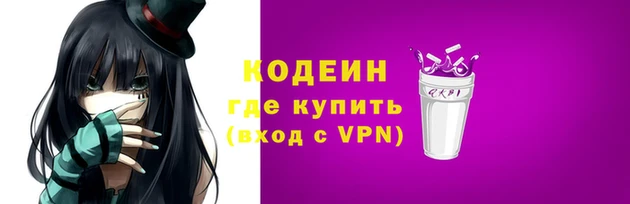 прущие грибы Кулебаки