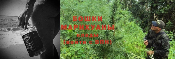 прущие грибы Кулебаки