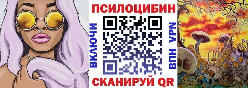 Купить закладки  Нижняя Салда  Псилоцибиновые грибы Cubensis 